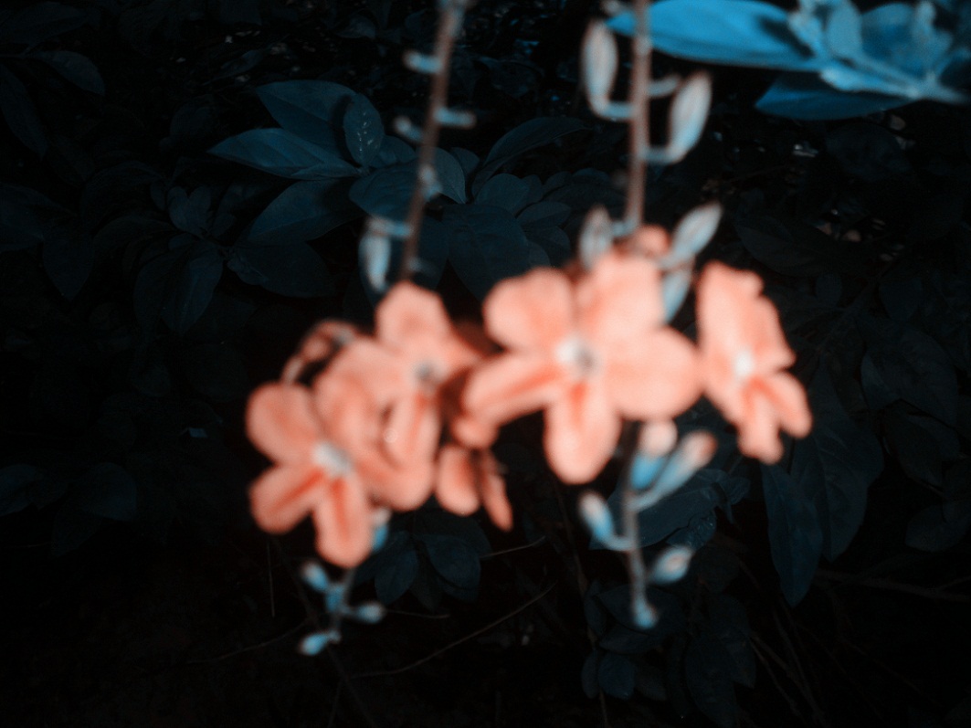 DSC09023_.jpg