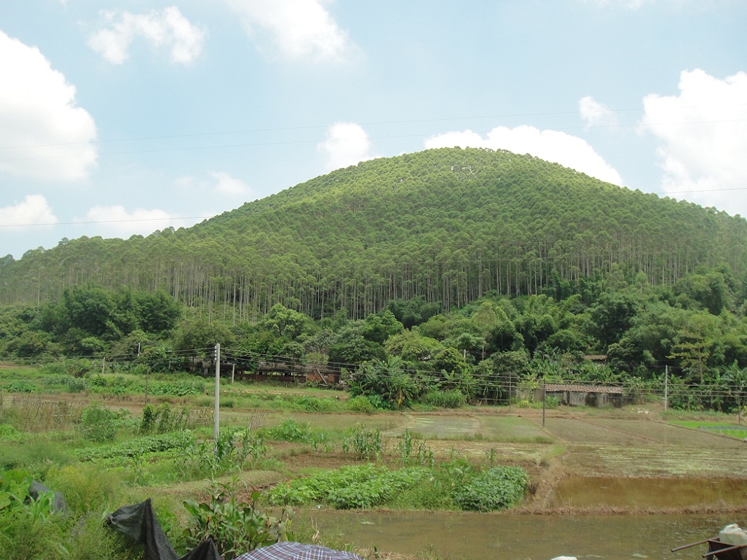 DSC08682.JPG