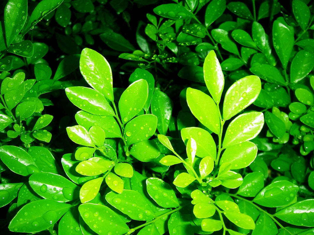 DSC08983_.jpg