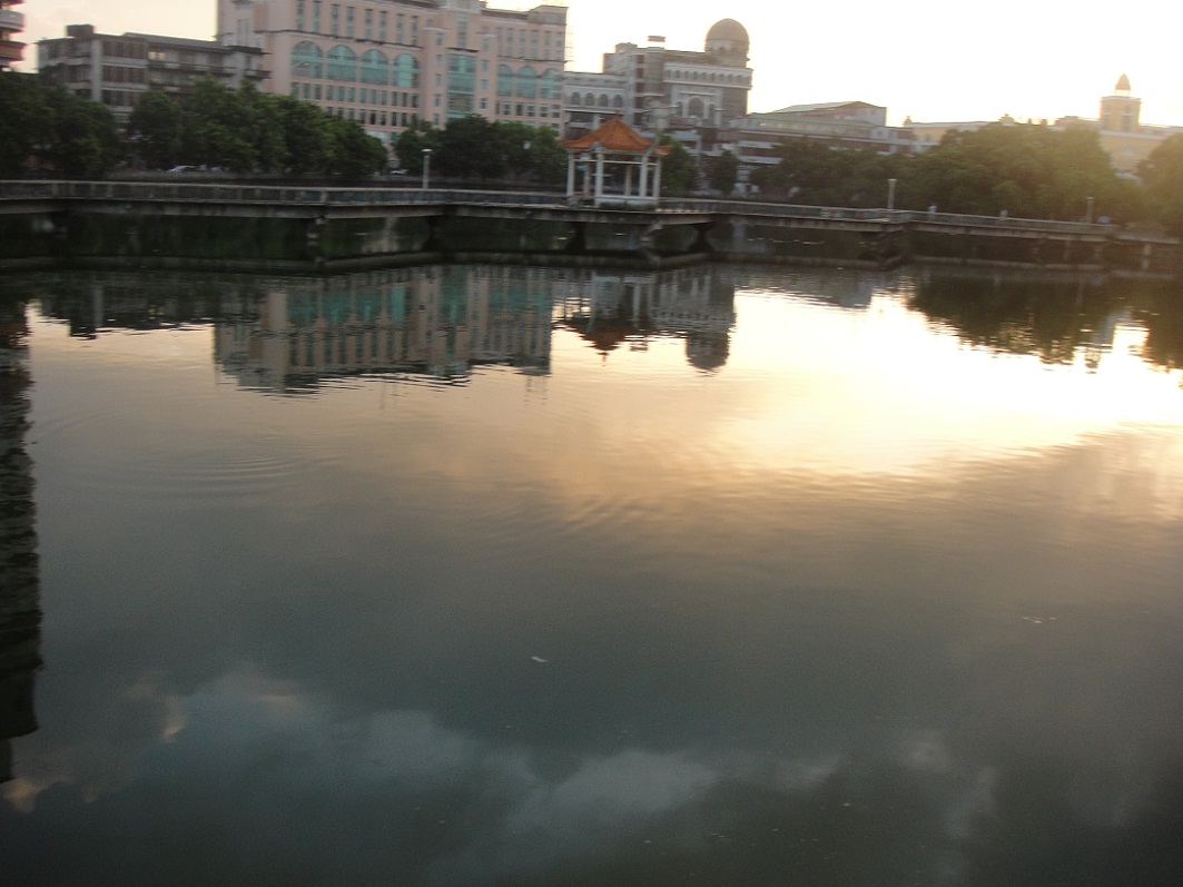 DSC08736.JPG