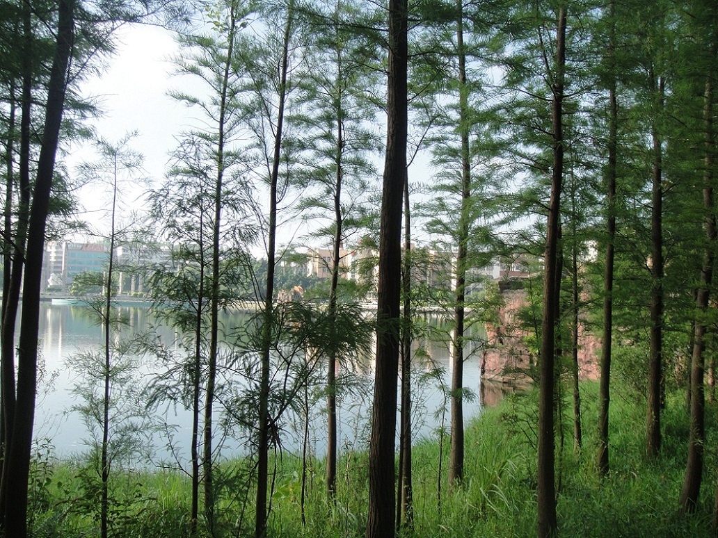 DSC09176.JPG