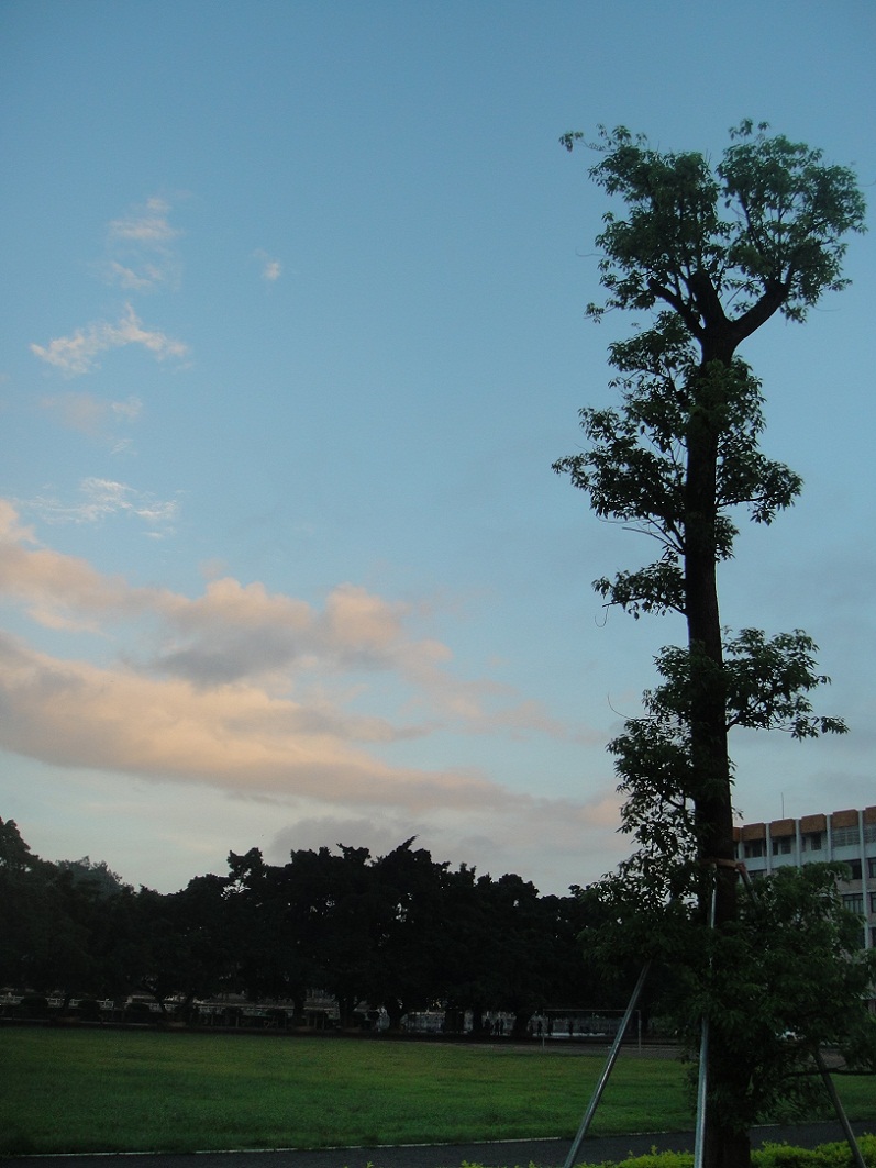 DSC08726.JPG