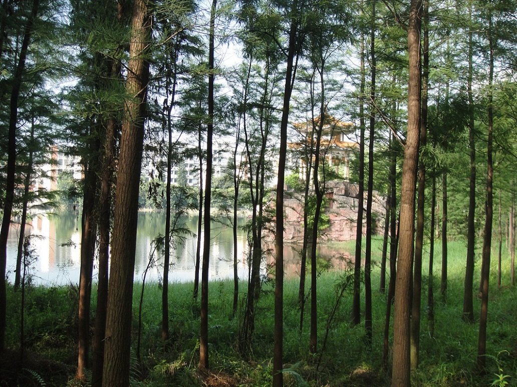 DSC09181.JPG