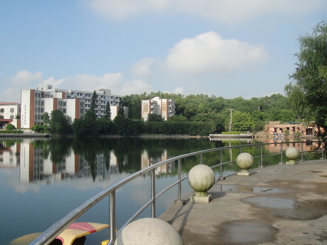 DSC09189.JPG