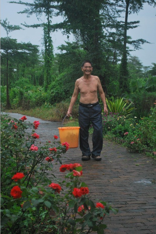 06.jpg