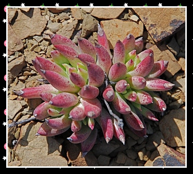 IMK3 (28)_conew1.jpg