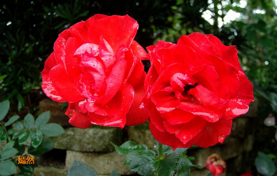 DSC00270.JPG