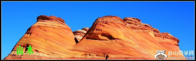 82_2580_95adbb0c9a42b45.jpg