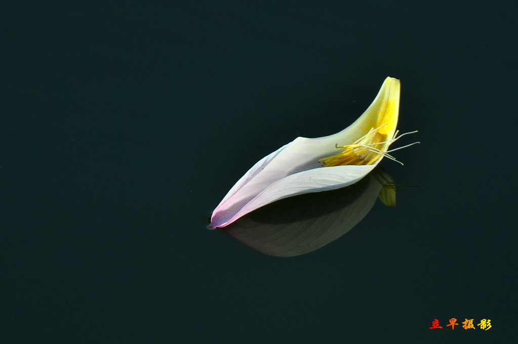 DSC_1180.JPG