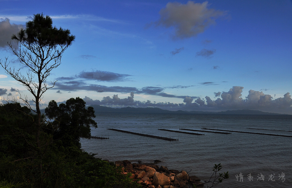 DSC_0132_.jpg
