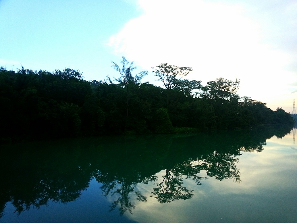 IMG_20130801_114051.jpg