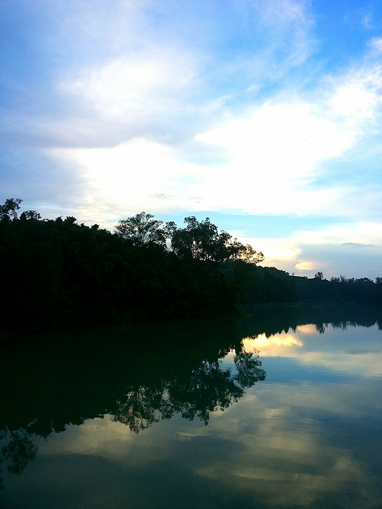 IMG_20130801_114618.jpg