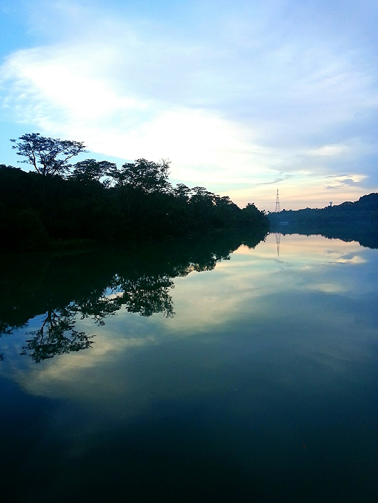 IMG_20130801_113742.jpg