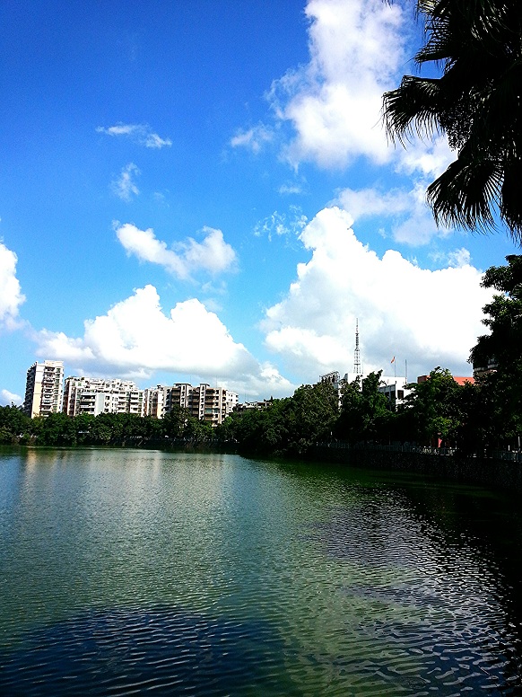 IMG_20130804_033513.jpg