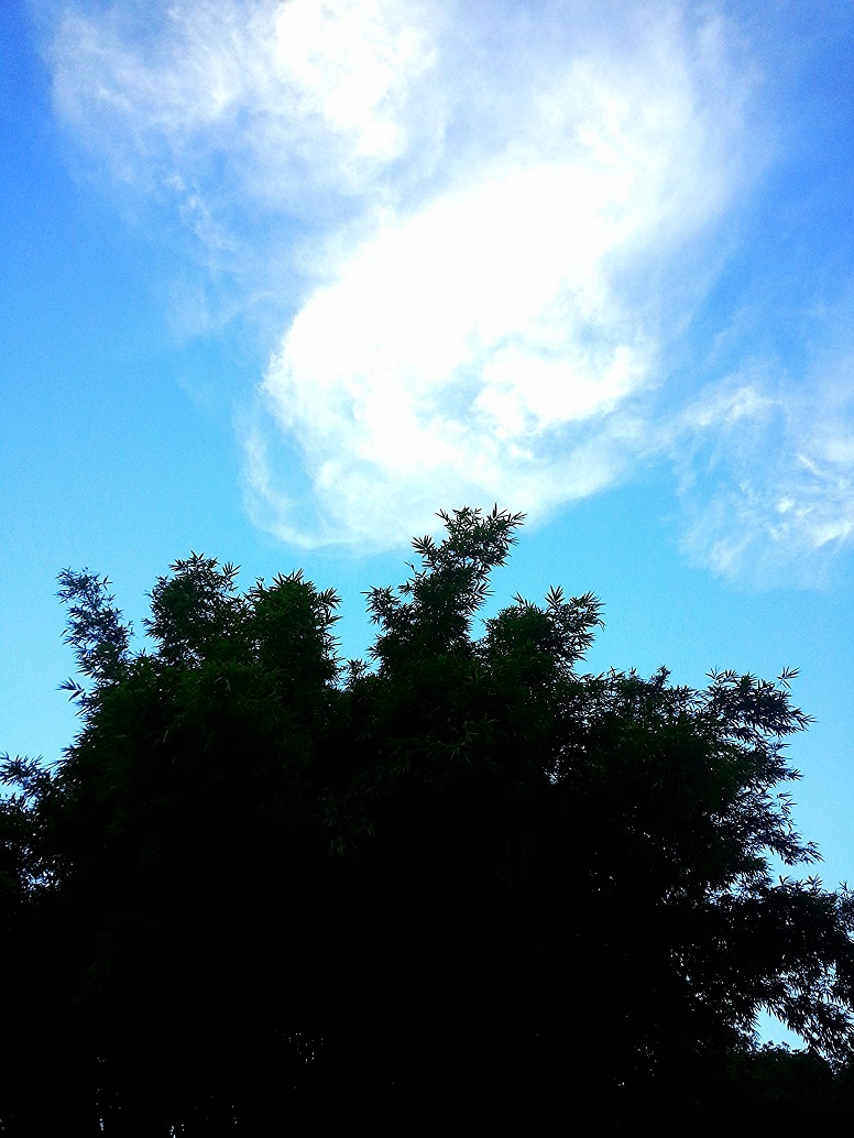 IMG_20130801_114925.jpg