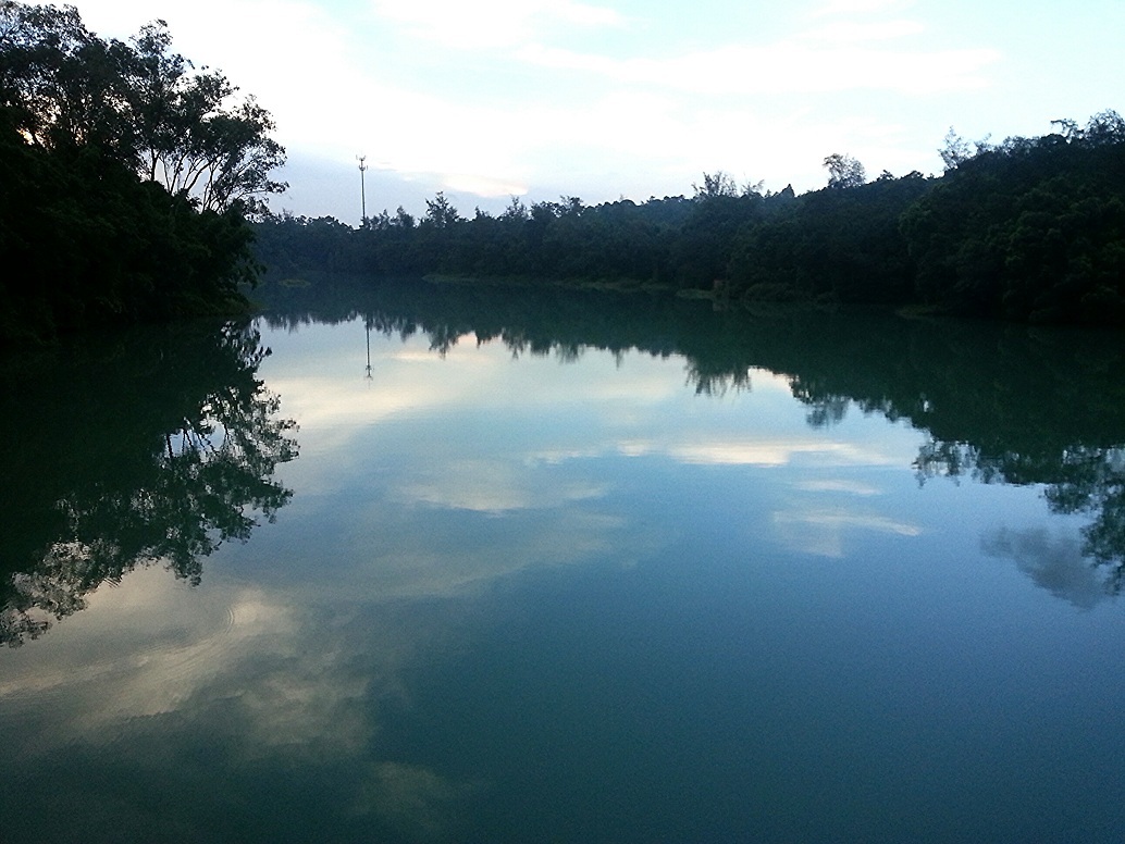IMG_20130801_113931.jpg