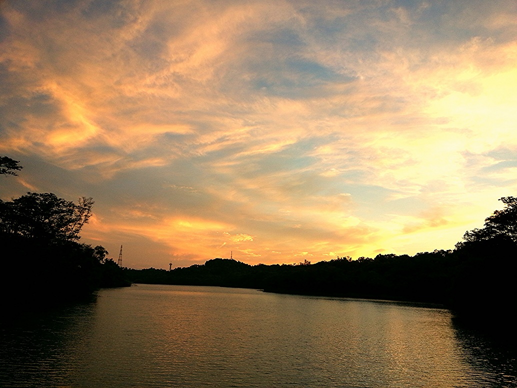 IMG_20130806_083341.jpg