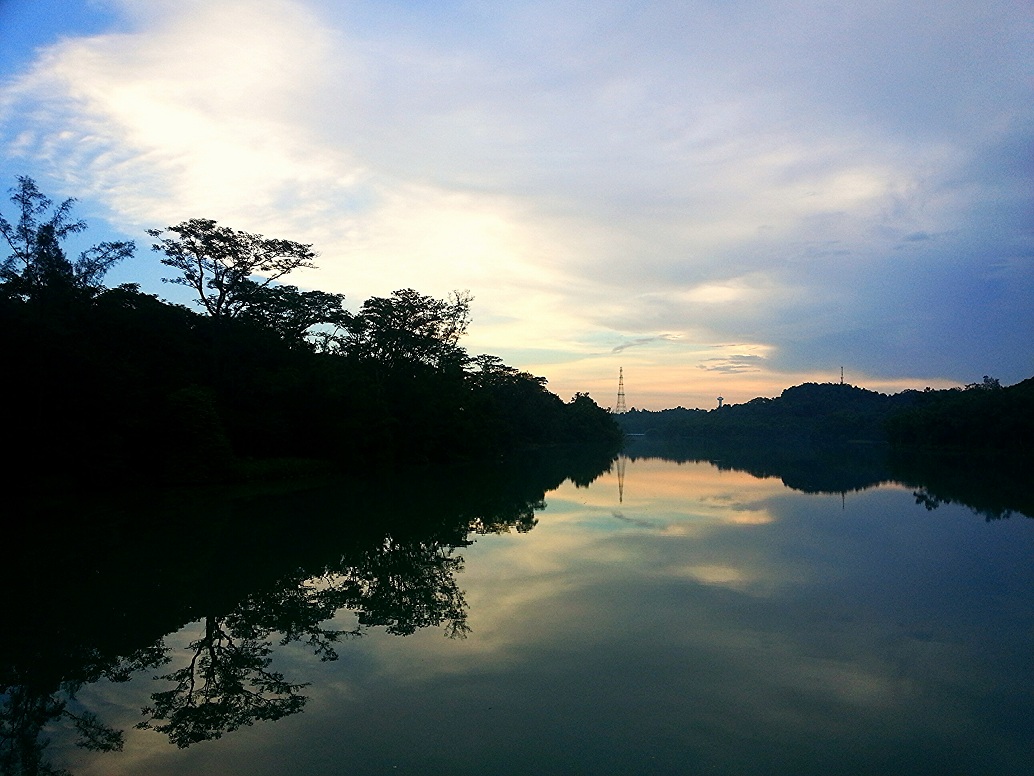 IMG_20130801_114201.jpg
