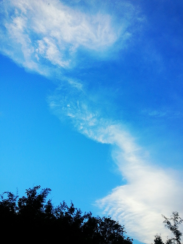 IMG_20130801_114723.jpg