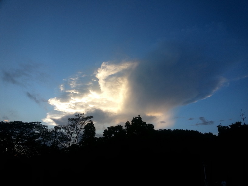 20130729_190650.jpg