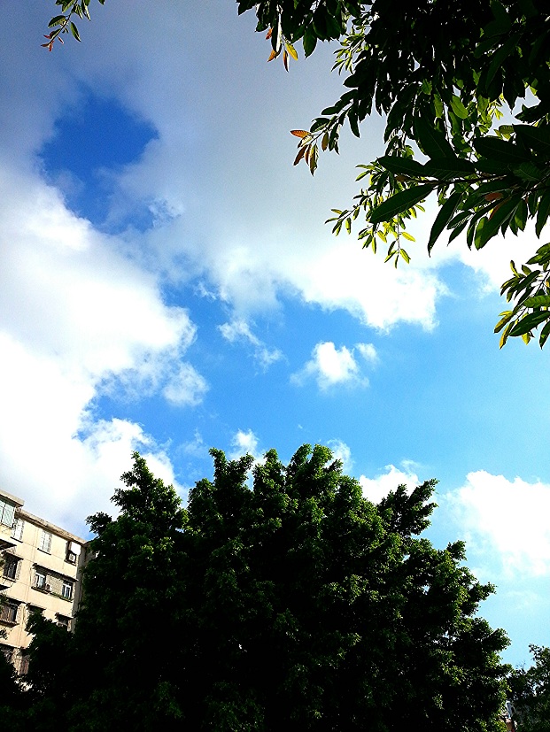 IMG_20130804_052717.jpg