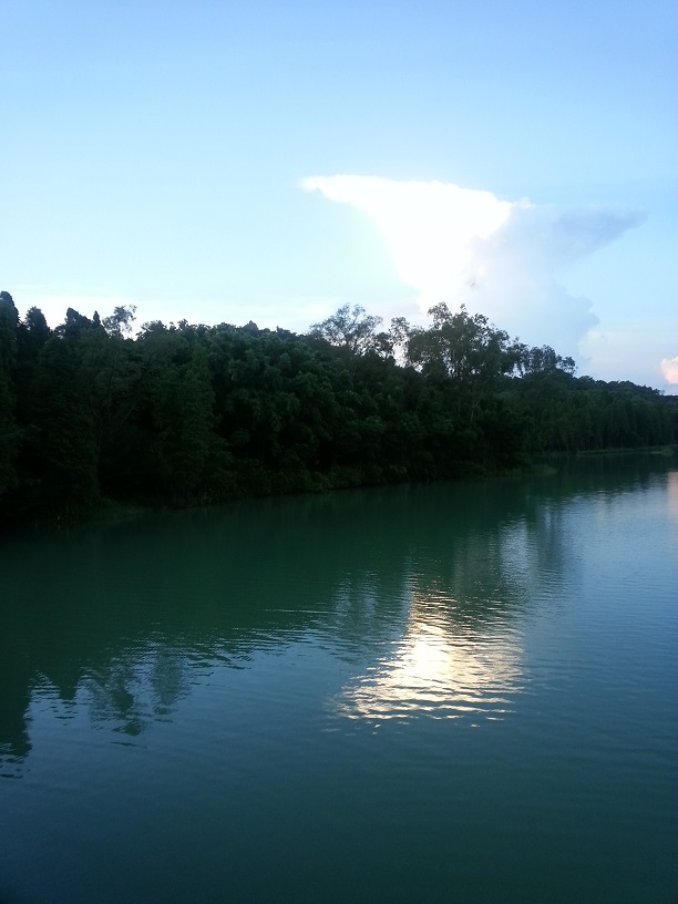 20130729_190607.jpg