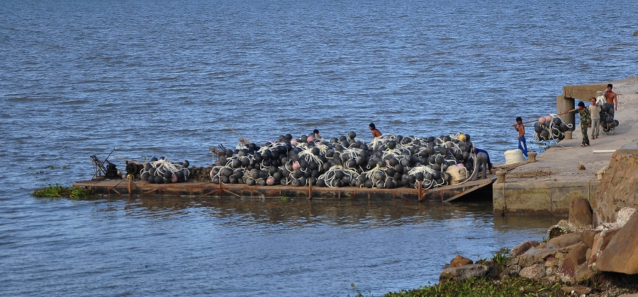 DSC_0187.JPG