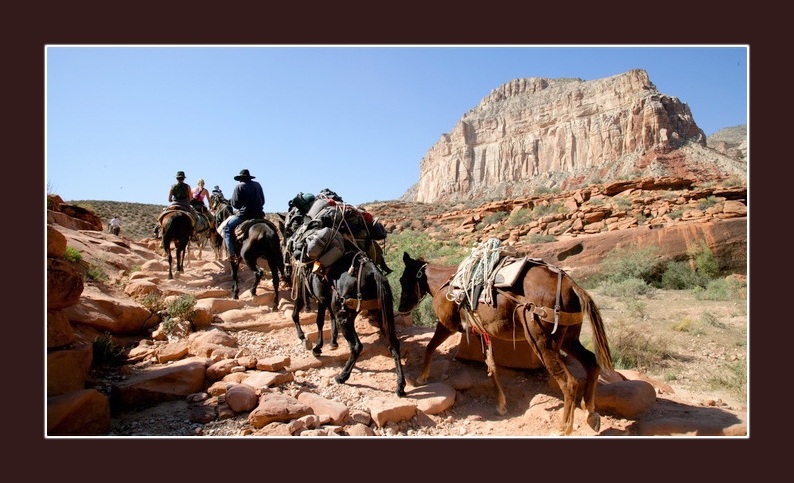 havasupai091812_3026.jpg