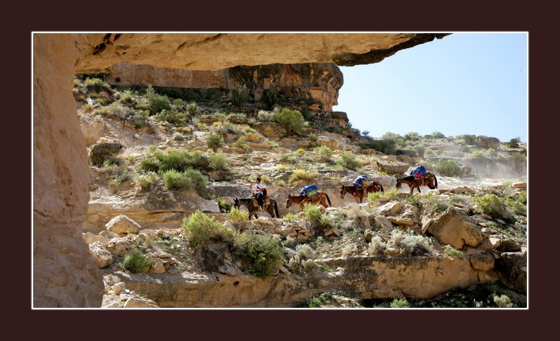 havasupai091812_3029.jpg