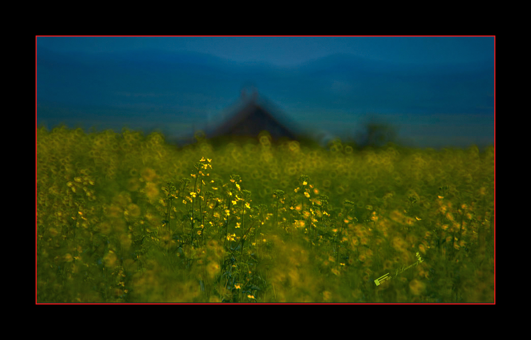 fDSD_9869z.jpg