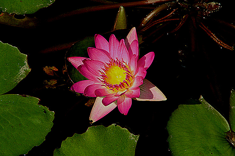 img_5191__.jpg
