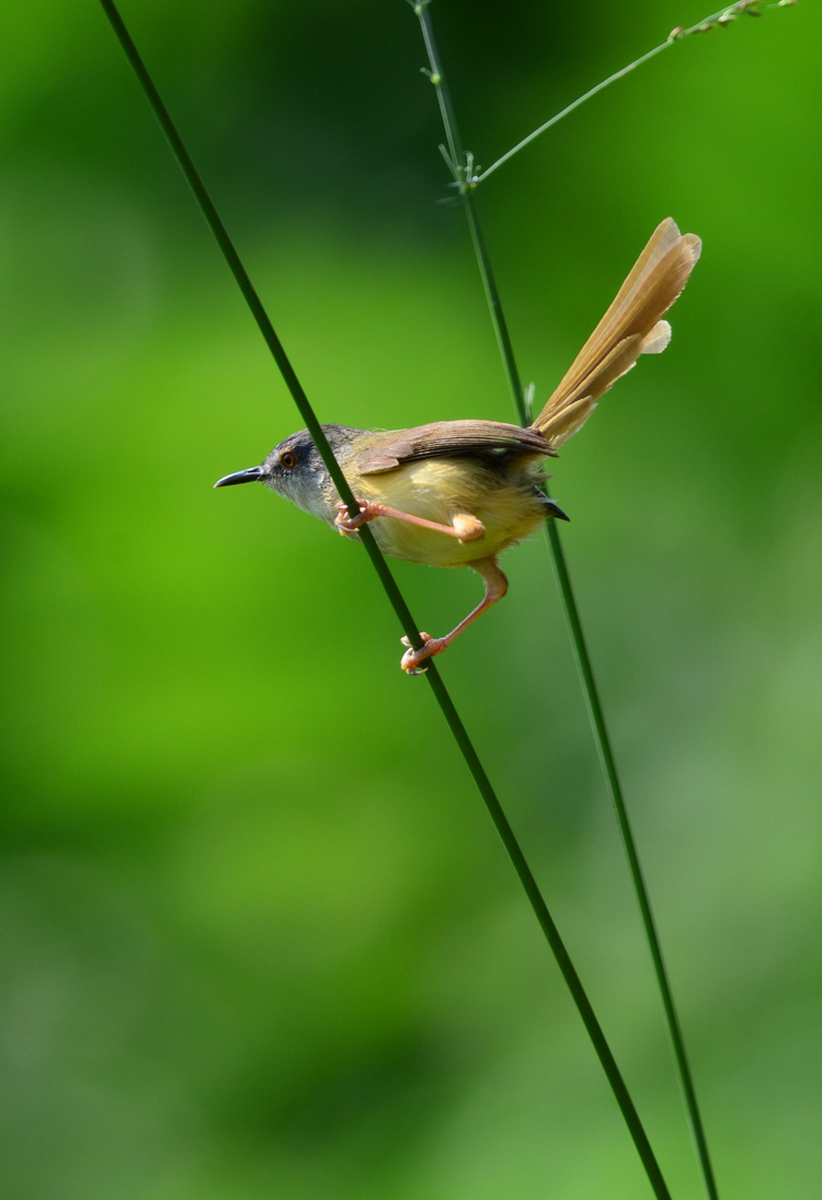 DSC_5433.JPG