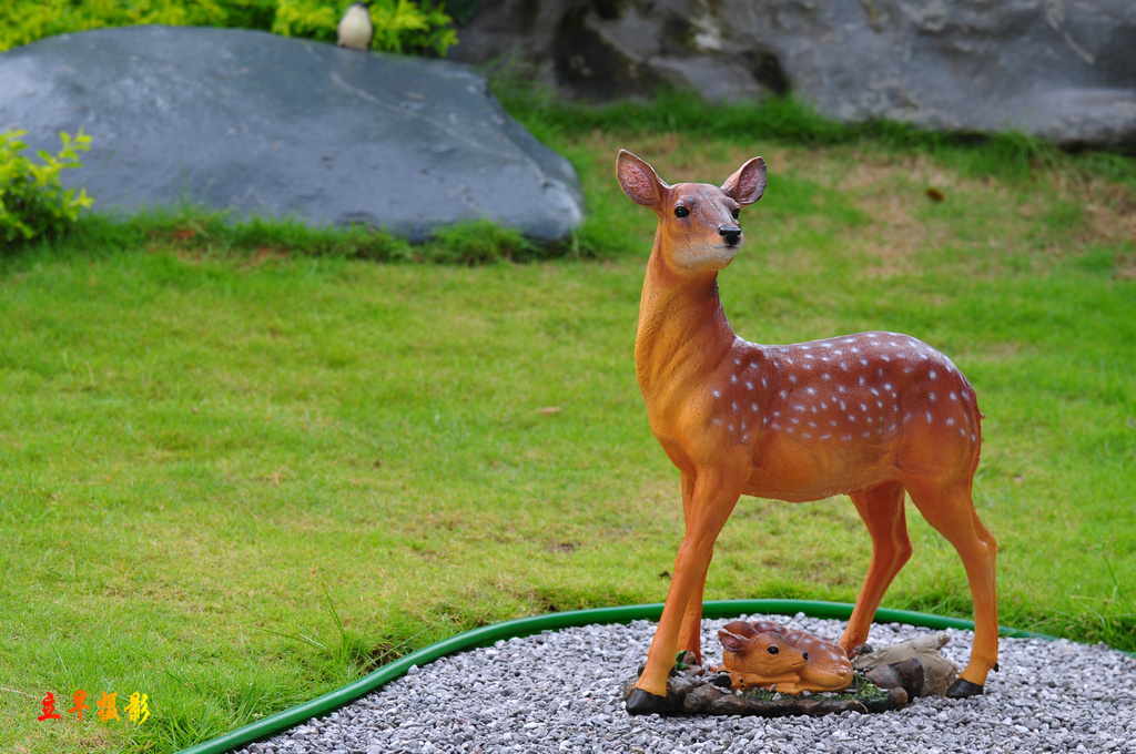 DSC_1414.JPG