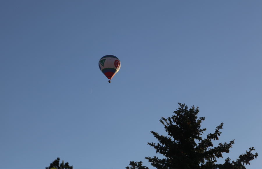 IMG_5869.JPG