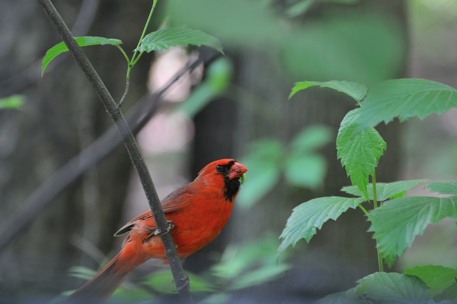 DSC_5609.JPG