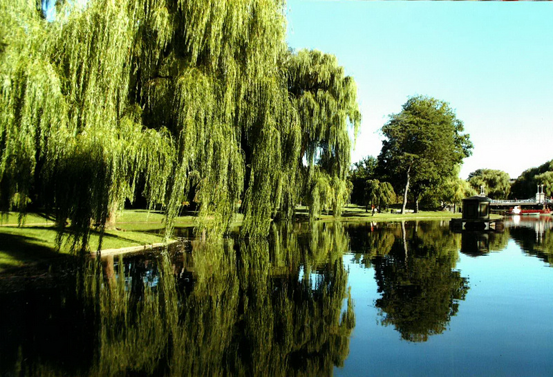 IMAG0028.jpg