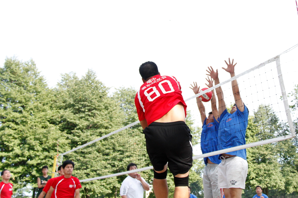 _MG_0468.jpg