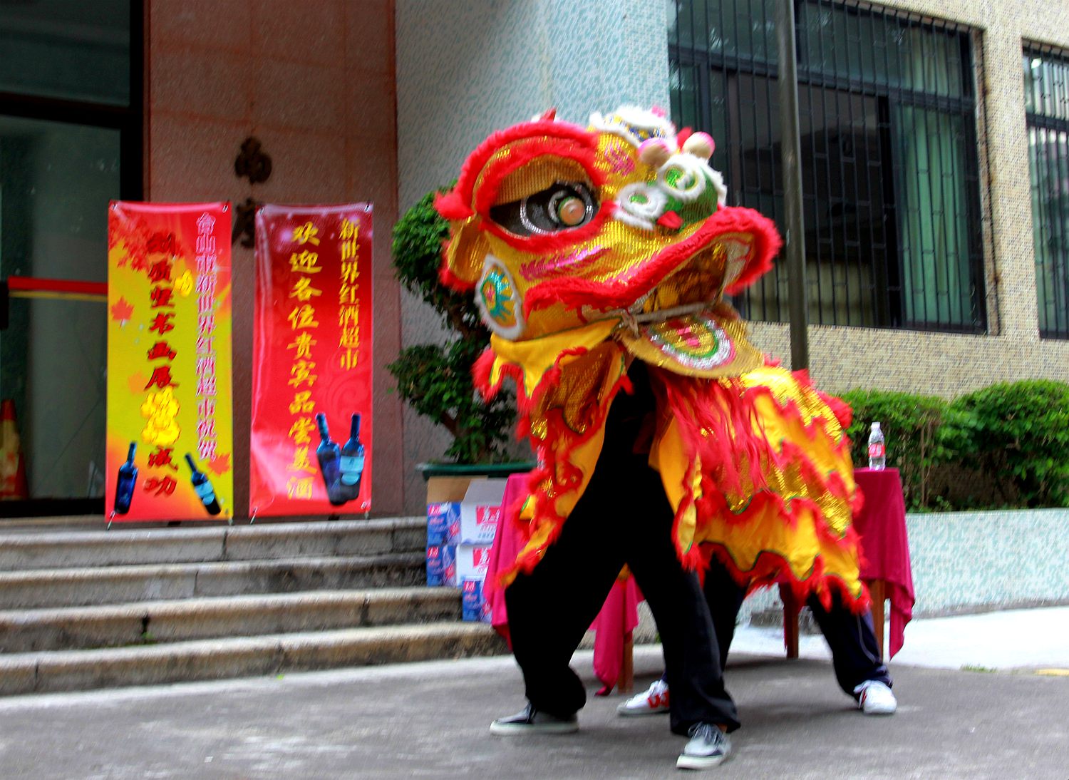 IMG_9740_.jpg