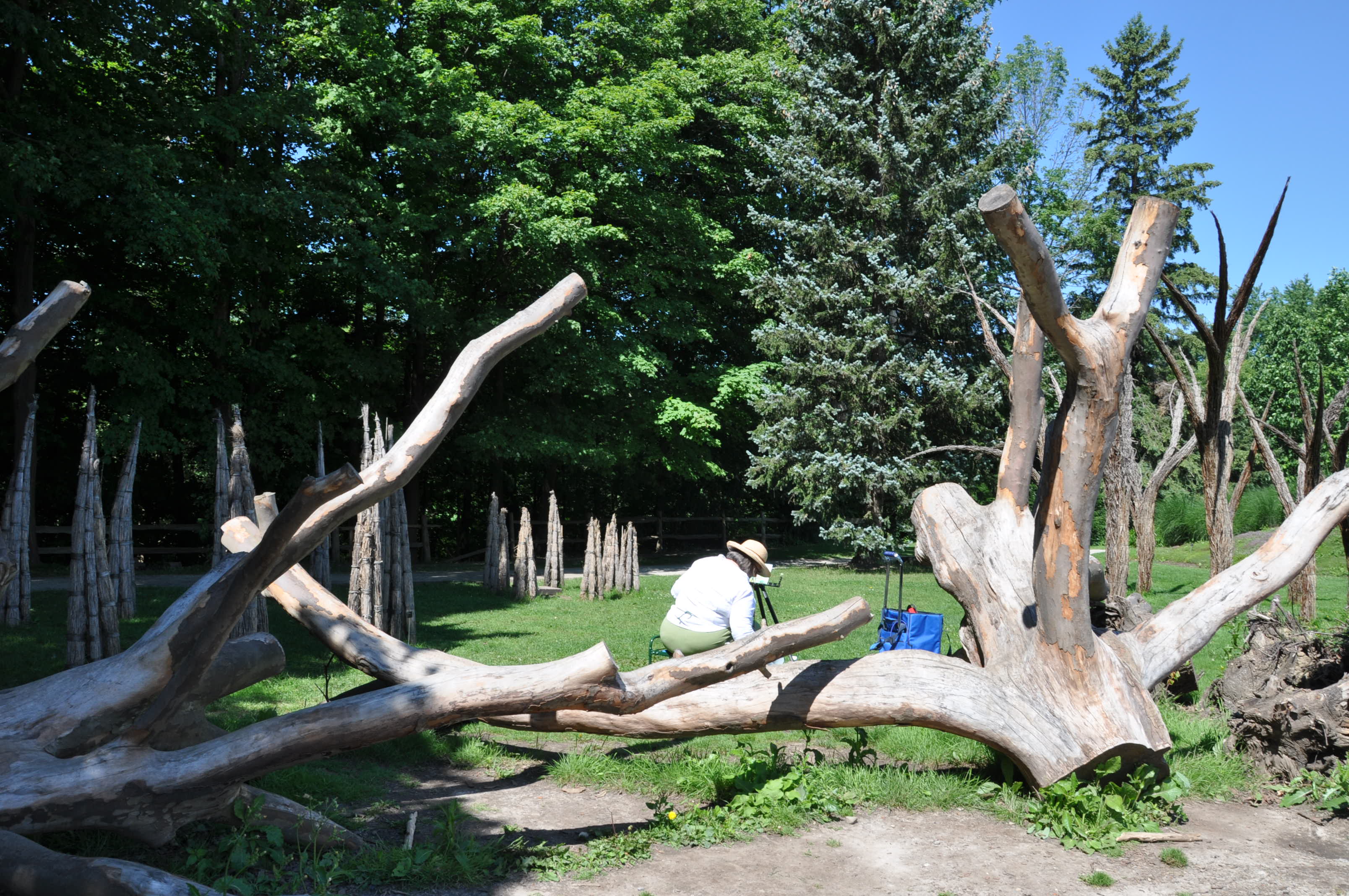SģTORONTO BOTANICAL GARDEN 026.JPG