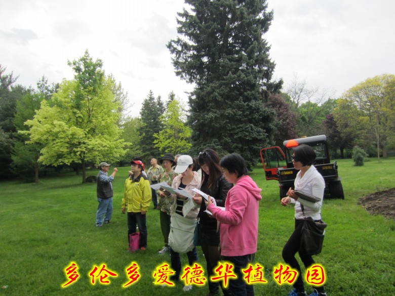 IMG_5702_conew2.jpg