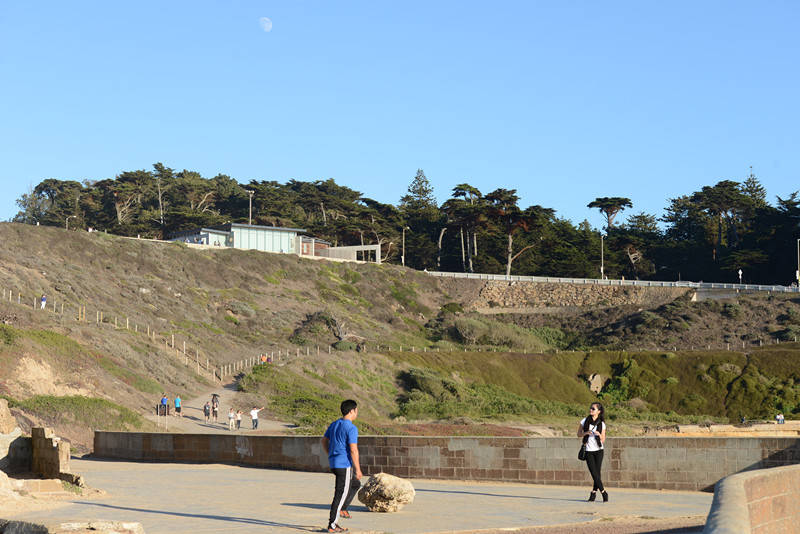 live 805_.jpg