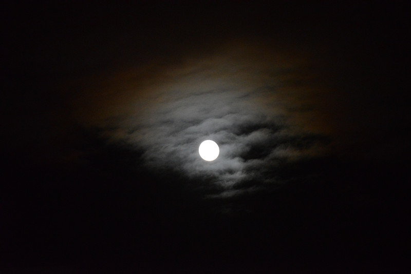 moon 054_.jpg