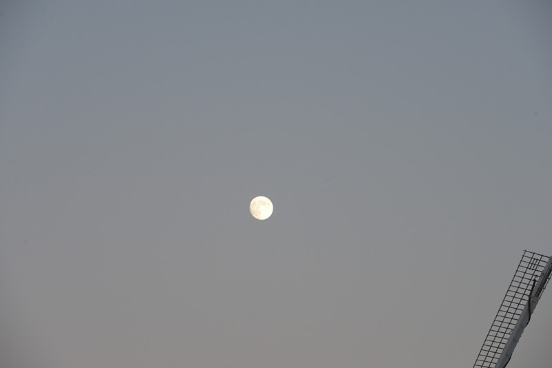 moon 019_.jpg