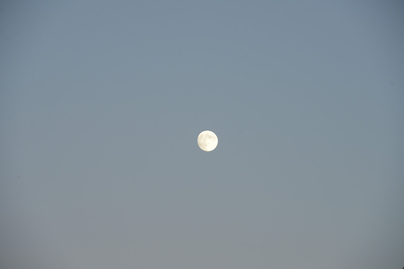 moon 014_.jpg