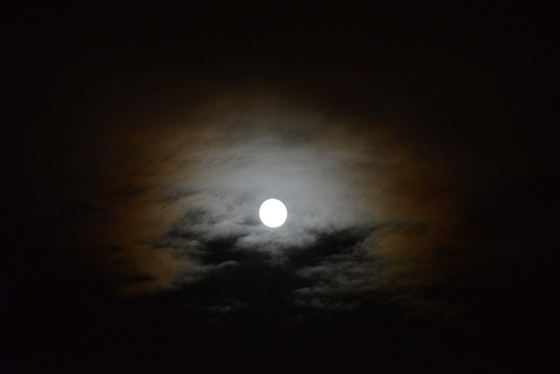 moon 064_.jpg