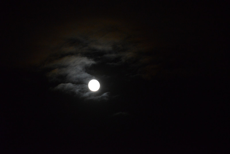 moon 042_.jpg