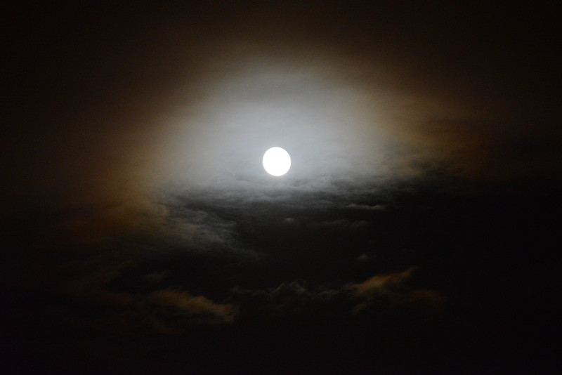 moon 078_.jpg