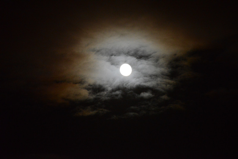 moon 066_.jpg