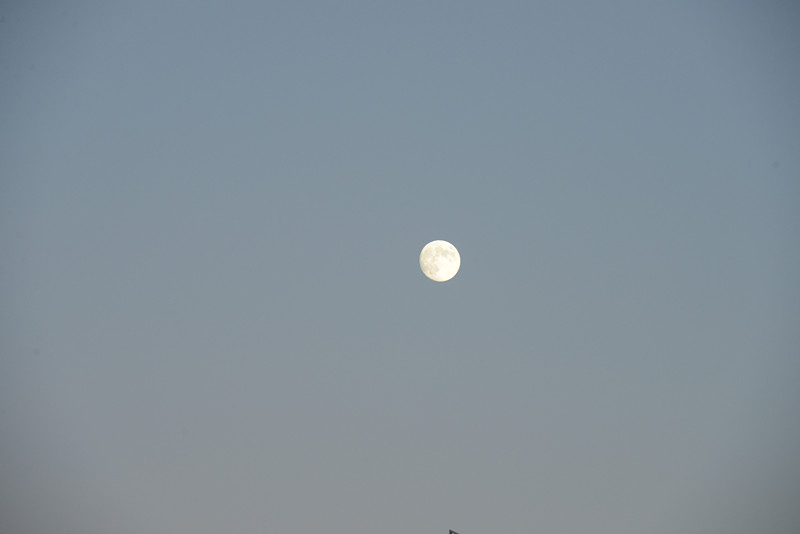 moon 013_.jpg