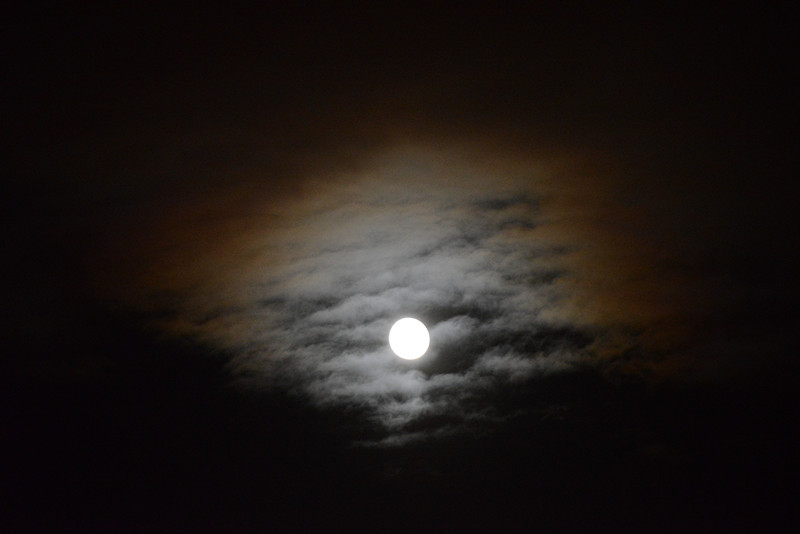 moon 055_.jpg